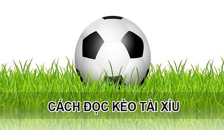 Hướng Dẫn Cách Chơi Kèo Tài Xỉu Bóng Đá Tại Keovip.blog Chuẩn Xác 1 Hướng Dẫn Cách Chơi Kèo Tài Xỉu Bóng Đá Tại Keovip.blog Chuẩn Xác