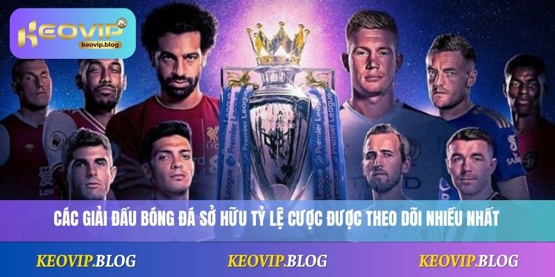 Các giải đấu bóng đá sở hữu tỷ lệ cược được theo dõi nhiều nhất 